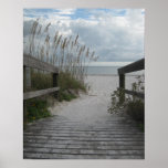 Florida Beach Path Posters