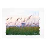 Florida beach pink and purple sunset custom announcements