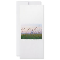 Florida beach pink and purple sunset full color rack card