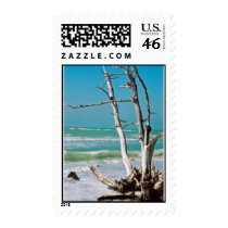 Florida Beach postage