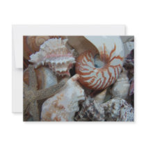 Florida Beach shells invitations by Debrene Florida Beach shells invitations