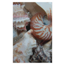Florida Beach shells stationery