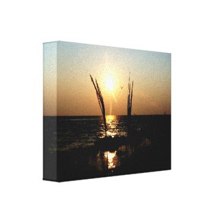 Florida Beach Sunset zazzle_wrappedcanvas