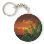 florida keychain, sunset, florida, storm, anna