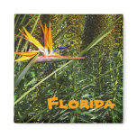 Florida Bird of Paradise Magnet