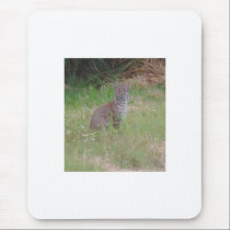 Florida Bobcat mousepads