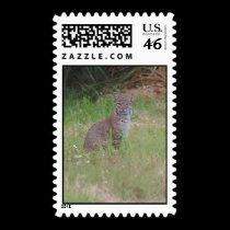 Florida Bobcat stamps