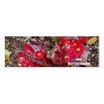 Florida Botanical Garden Bookmark