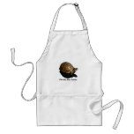Florida Box turtle Photograph w Text Apron