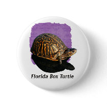 Florida Box turtle Photograph w Text Buttons