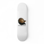 Florida Box turtle Photograph w Text Custom Skate Board
