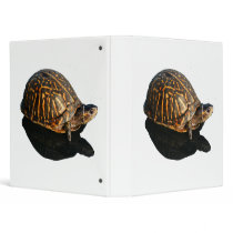Florida Box turtle Photograph with Shadow Cutout Vinyl Binder