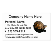Florida Box turtle Photograph with Shadow Cutout Business Card