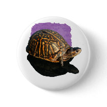 Florida Box turtle Photograph with Shadow Cutout Buttons