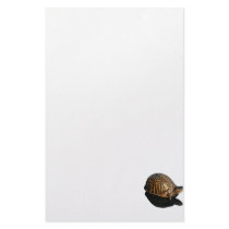 Florida Box turtle Photograph with Shadow Cutout Customized Stationery