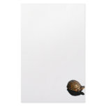 Florida Box turtle Photograph with Shadow Cutout Customized Stationery