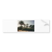 Florida Bumper Sticker
