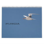 Florida Calendar