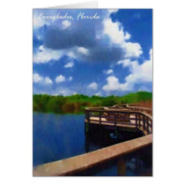 Florida cards by sunsangel Florida cards