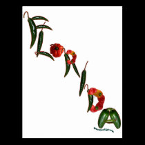 Florida Chili Peppers postcards
