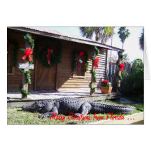 Florida Christmas Cards