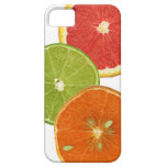 Florida Citrus iPhone Case iPhone 5 Case