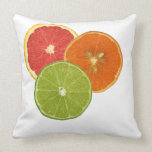 Florida Citrus Pillow pillows