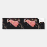 Florida cone (Conus floidanus) Shell Bumper Stickers