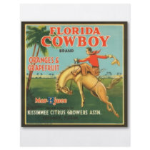 Florida Cowboy flyers
