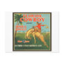 Florida Cowboy Kissimmee Citrus Growers Vintage Cr Postcards