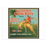 Florida Cowboy Kissimmee Citrus Growers Vintage Cr Postcards