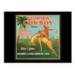 Florida Cowboy Oranges & Grapefruit Vintage Ad Post Cards