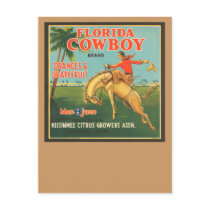 Florida Cowboy Post Card