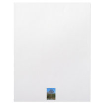 Florida Cypress Swamp Vertical Letterhead
