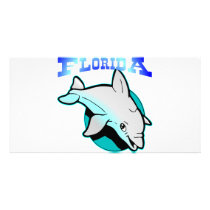 Florida Dolphin photo cards