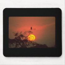 florida everglades mousepad