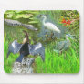 Florida Everglades National Park wildlife Mousepad