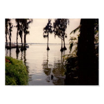 Florida Everglades poster posters by Pyroraptor0001 Florida Everglades poster posters