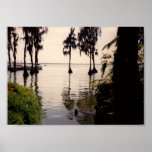 Florida Everglades poster posters