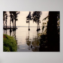 Florida Everglades poster