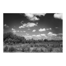 Florida Field posters