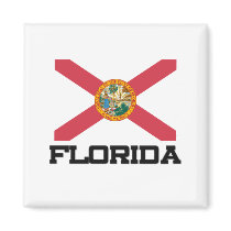 Florida Flag magnets