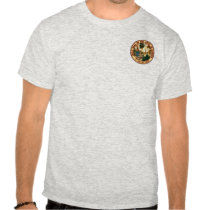 Florida Flag t-shirts