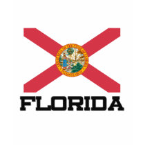 Florida Flag t-shirts