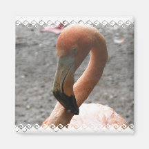 Florida Flamingo Magnet