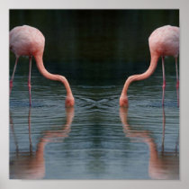 Florida Flamingo posters