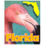 Florida flamingo shirt F/B