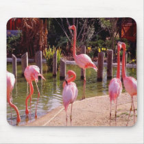 Florida Flamingos mousepads by Paddydee56 Florida Flamingos mousepads