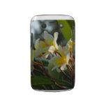 Florida Flowers Blackberry Bold Cases