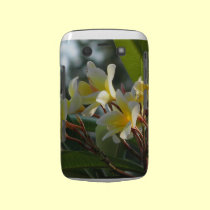 Florida Flowers casemate cases